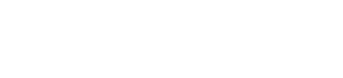 Little Poppy Co Logo Wide