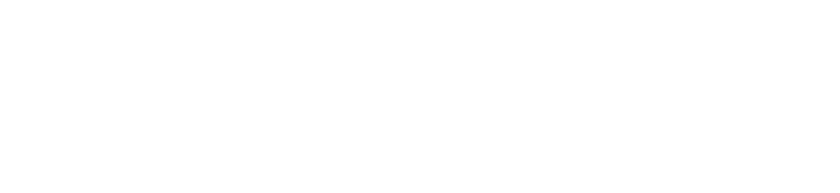 Little Poppy Co Logo Wide